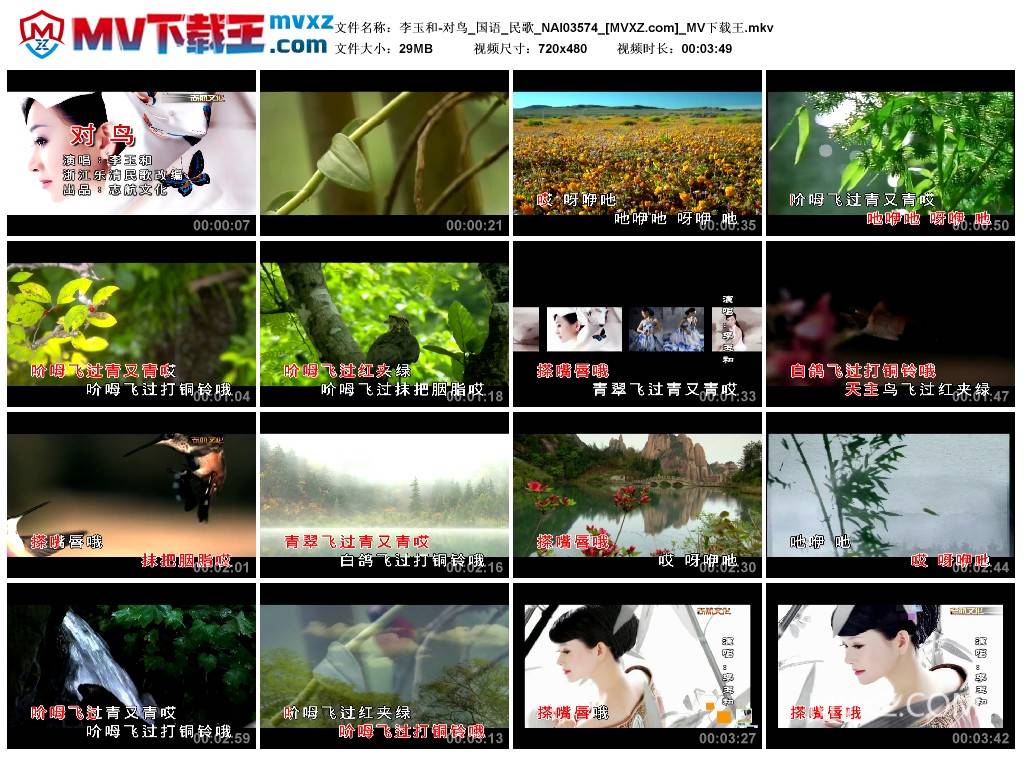 李玉和-对鸟_国语_民歌_NAI03574